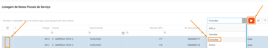 consulta2.png