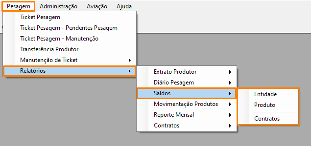rel_saldoss.png